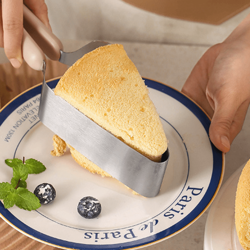 Stainless Steel Cake Cutter and Server