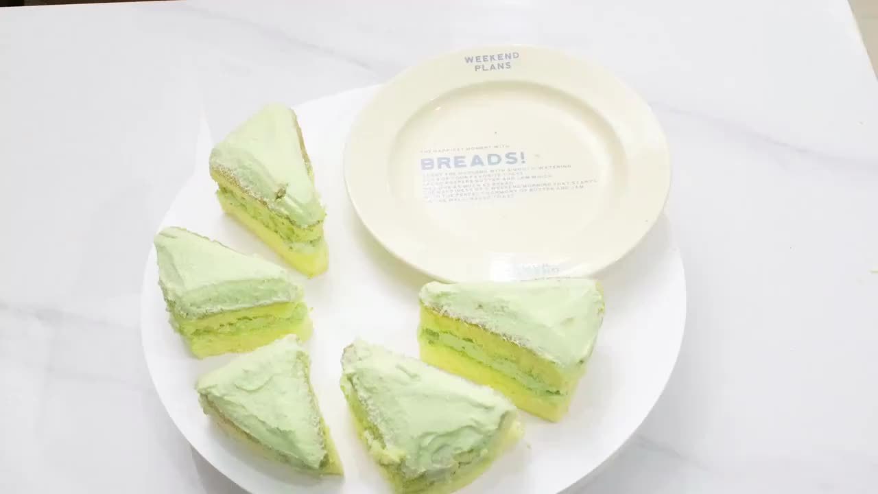 Stainless Steel Cake Cutter and Server