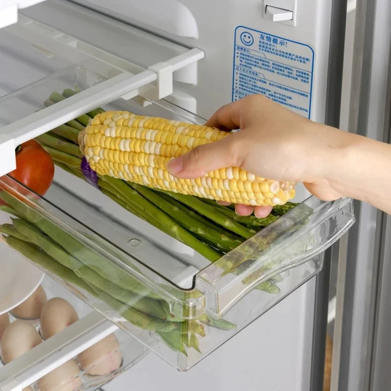 Refrigerator Organizer