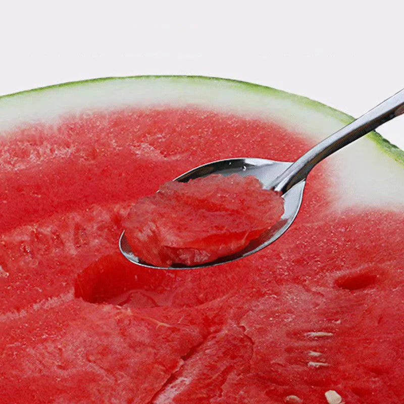 Stainless Steel Silver Teaspoon Set